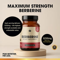YiaknisUK Berberine Complex with Ceylon Cinnamon & Black Pepper 90 Capsules - image 5